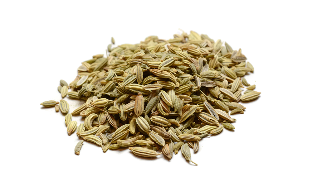 Fennel Seed (Foeniculum vulgare)