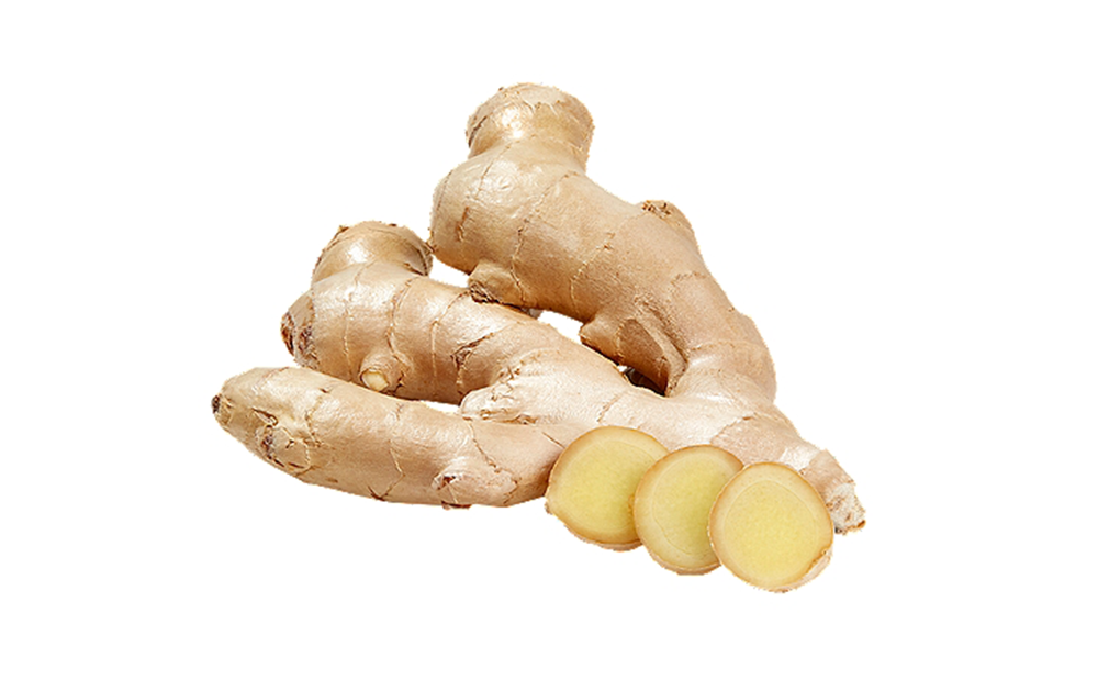 Ginger Root (Zingiber officinale)