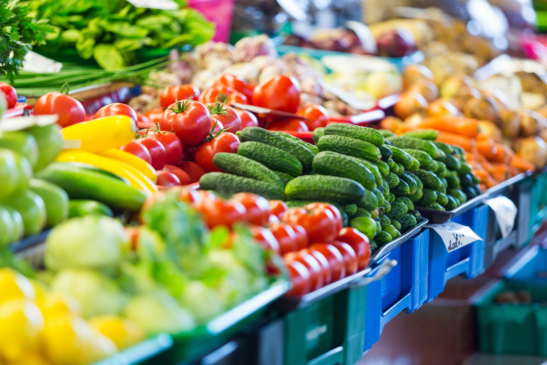 Nutrition Education In Medical Schools:  Mind The Gap!  “Let Food Be Thy Medicine” Is A Truth To Embrace!